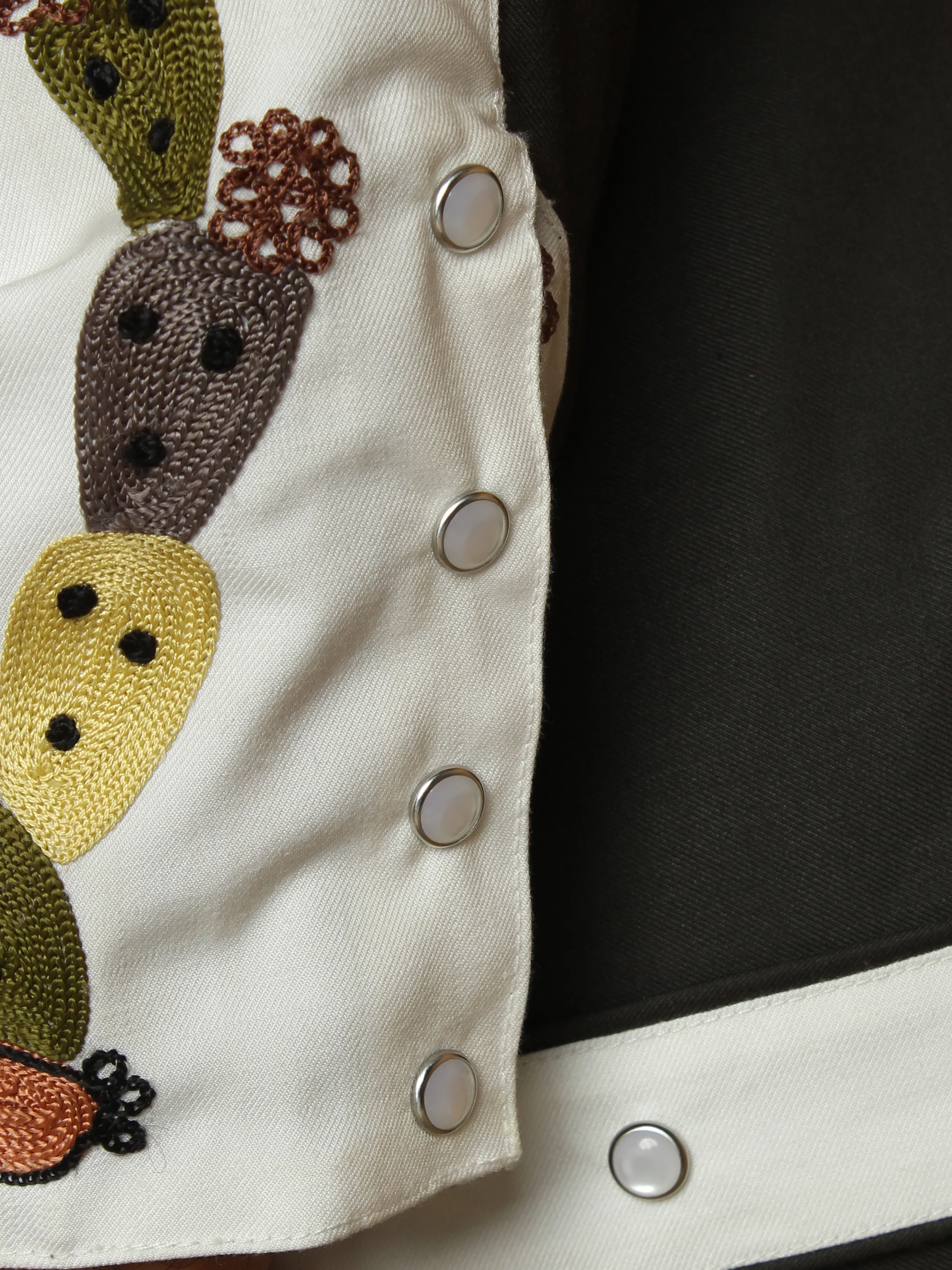 Embroidered Cactus Western Shirt - Image 14