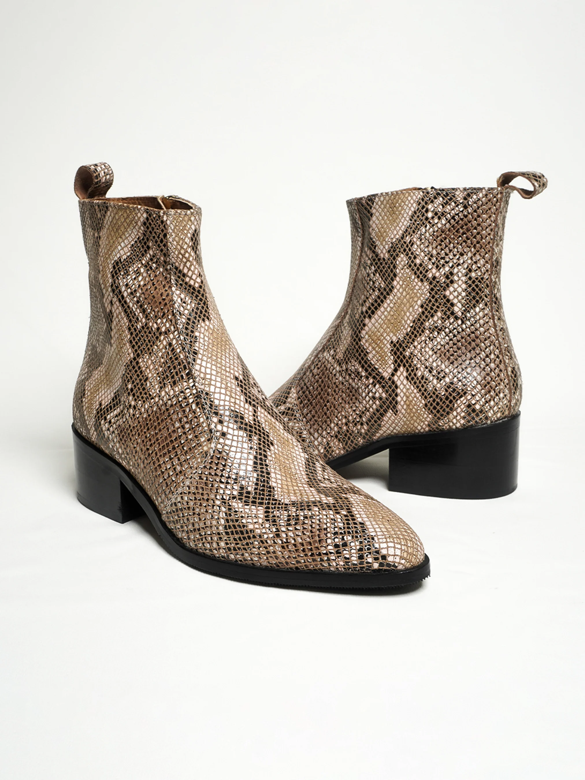 The Python - Image 3