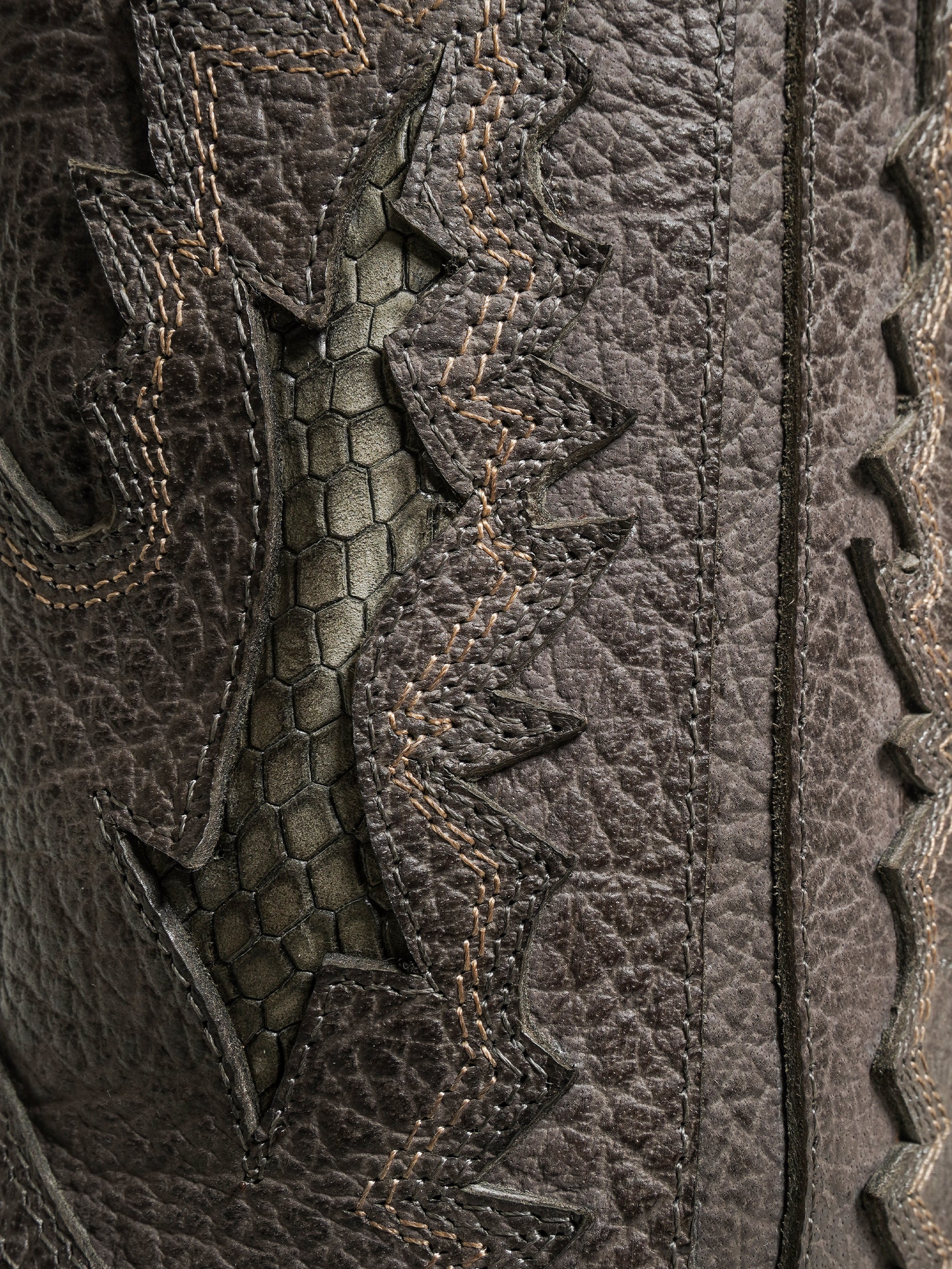 The Western Wild Surprise - Image 5