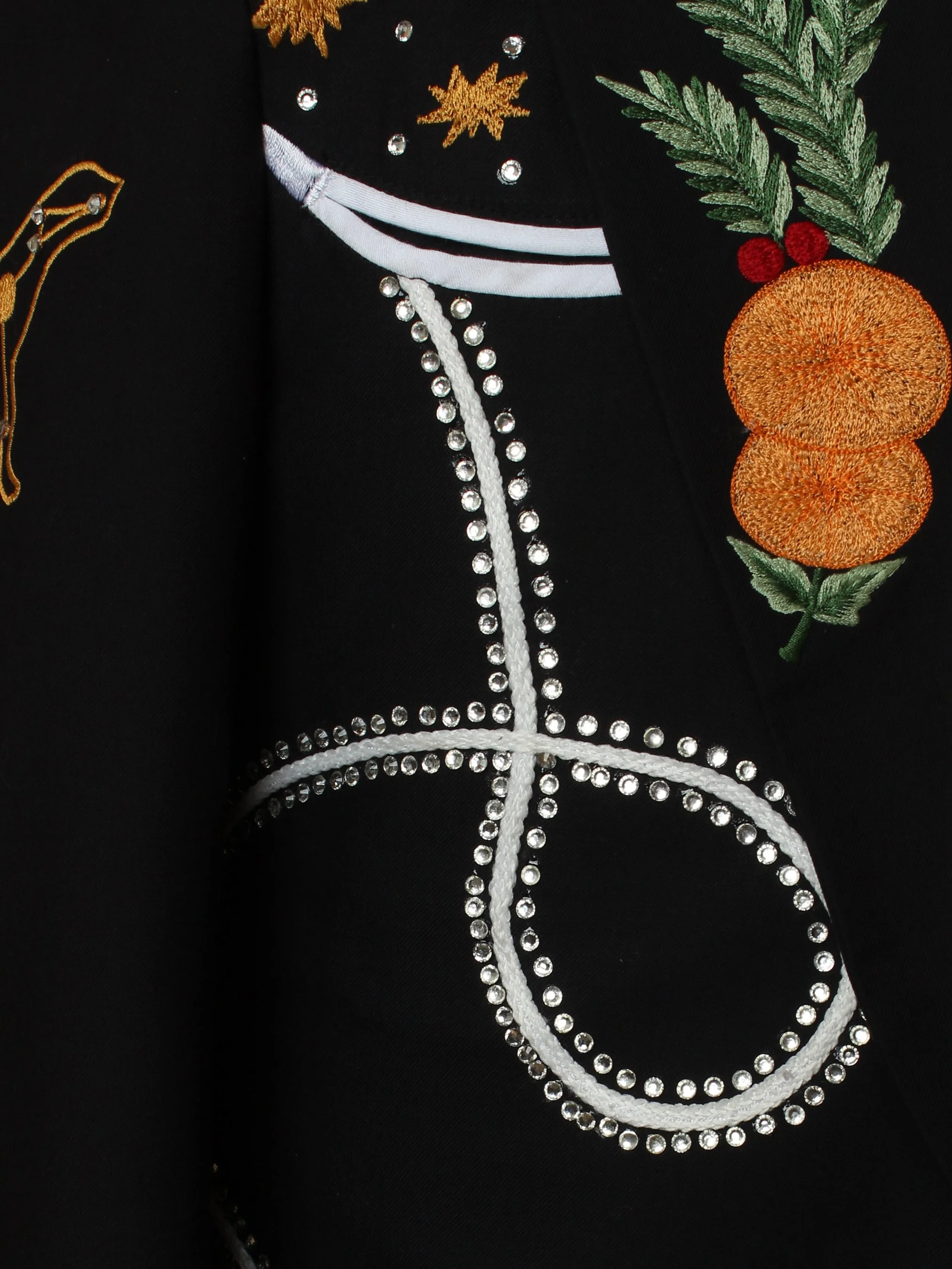 Western Embroidered Statement Suit - Image 8